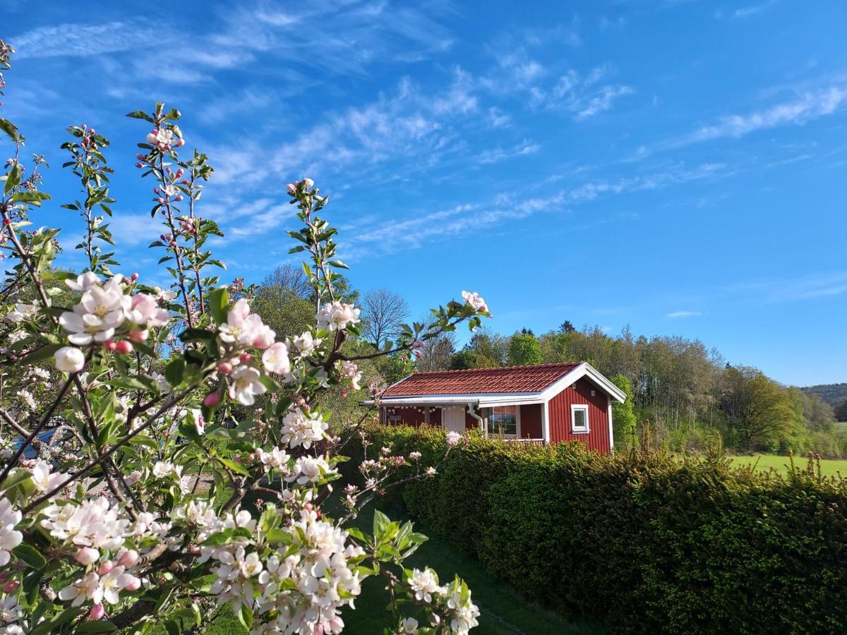 Aelgbergets Bed & Breakfast Ucklum Exterior photo